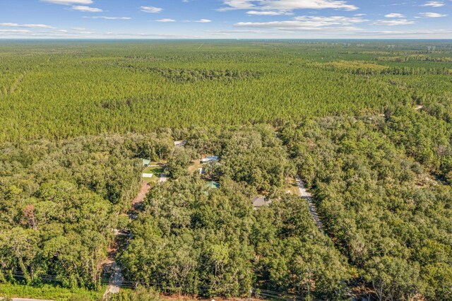 108 Holly Dr, Florahome, FL 32140 - photo 9
