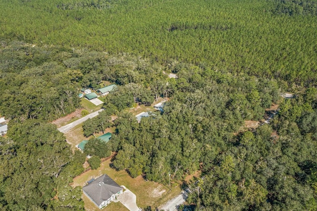 108 Holly Dr, Florahome, FL 32140 - photo 10