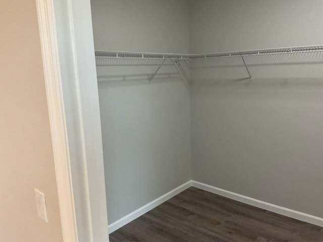 walk in closet with dark hardwood / wood-style flooring