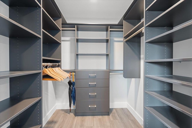 spacious closet featuring wood finished floors