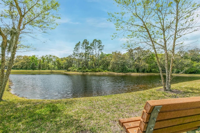 121 Grand Ravine Dr, Saint Augustine, FL 32086 - water view with a heavily wooded area
