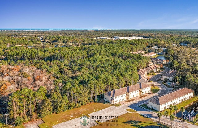 121 Grand Ravine Dr, Saint Augustine, FL 32086 - bird's eye view of a heavily wooded area