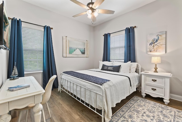 121 Grand Ravine Dr, Saint Augustine, FL 32086 - bedroom featuring multiple windows, baseboards, and dark wood-type flooring