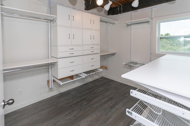 walk in closet featuring dark hardwood / wood-style floors