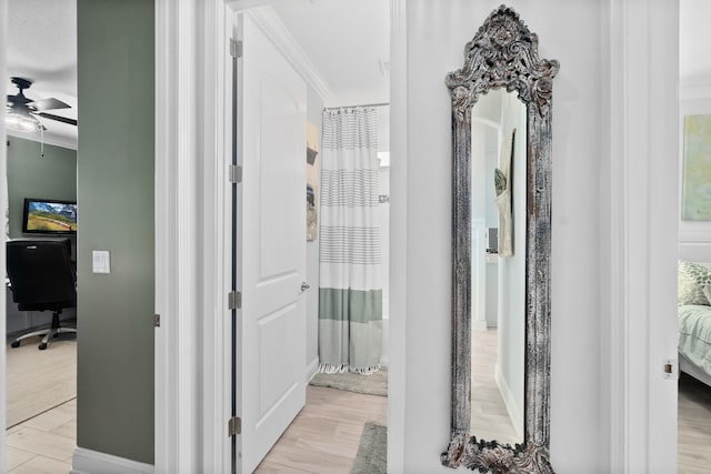 corridor featuring crown molding and light hardwood / wood-style flooring