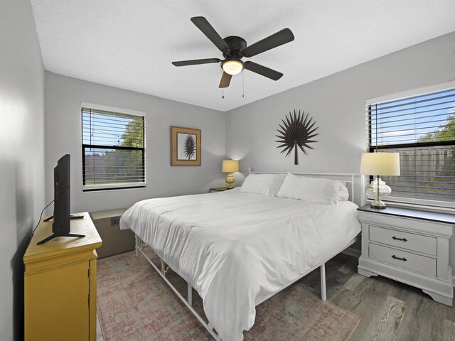 129 Rio Del Mar St Unit C, Saint Augustine, FL 32080 - bedroom featuring wood finished floors, multiple windows, and a ceiling fan