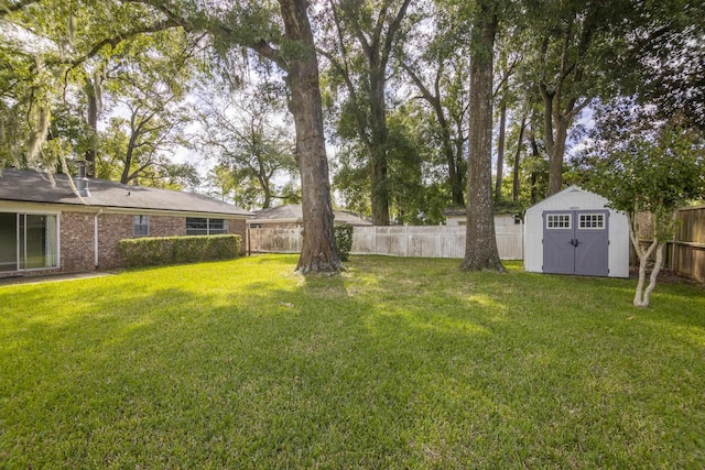 view of yard with a shed