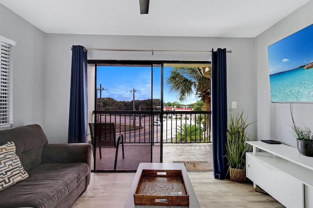 4250 A1A S B36, Saint Augustine, FL 32080 - living room with light wood finished floors
