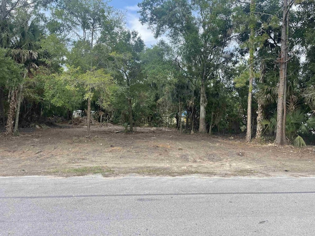 00 Phillips Dairy Rd, Palatka FL, 32177 land for sale