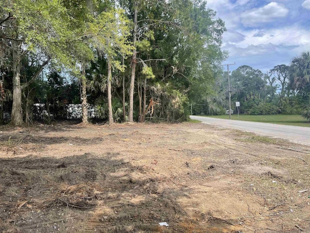 Listing photo 2 for 00 Phillips Dairy Rd, Palatka FL 32177