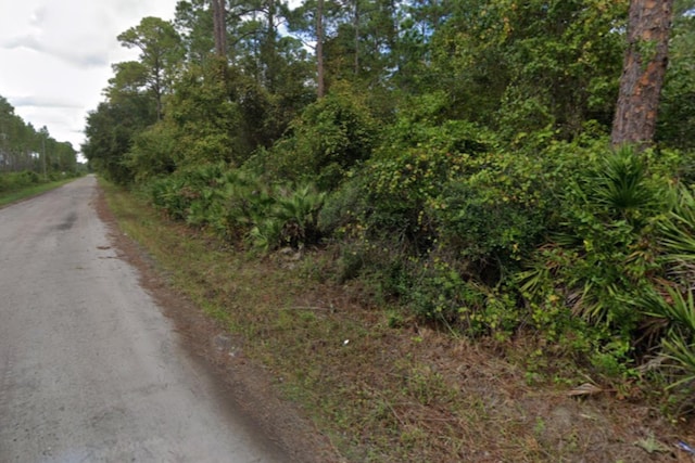 226 Millican Rd, Palatka FL, 32177 land for sale