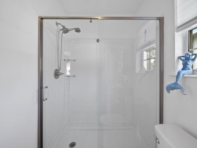 bathroom with a shower stall and toilet