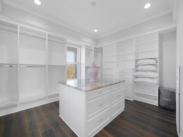 walk in closet with dark hardwood / wood-style floors