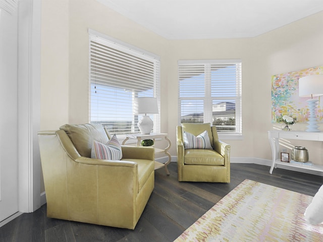 sitting room with dark hardwood / wood-style flooring