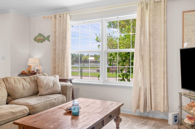 18 Ocean Ave, Saint Augustine, FL 32084 - living area featuring plenty of natural light, ornamental molding, and wood finished floors