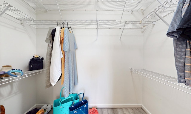 705 Augusta Cir, Saint Augustine, FL 32086 - spacious closet featuring wood finished floors