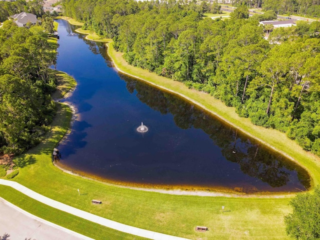 117 Laurel Wood Way Unit 105, Saint Augustine, FL 32086 - aerial view of a large body of water