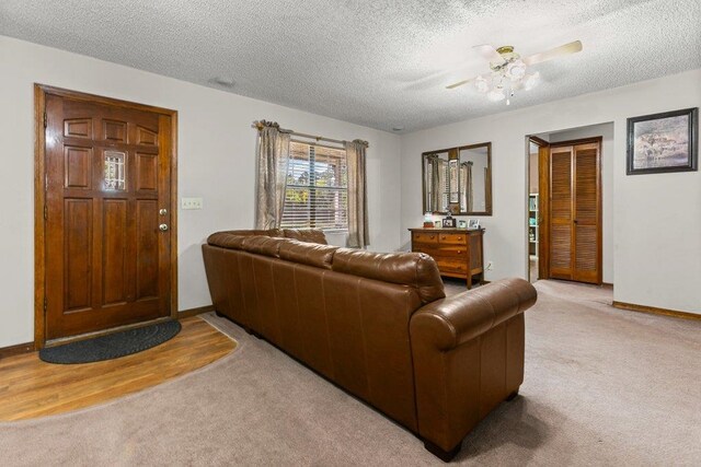 8469 County Road 13 N, Saint Augustine, FL 32092 - photo 11