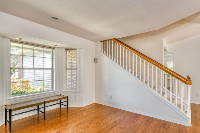 1536 San Rafael Way, Saint Augustine, FL 32080 - stairs with wood finished floors, baseboards, and a textured ceiling