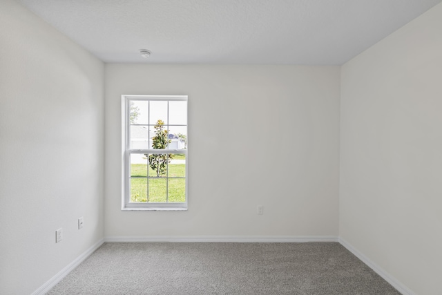 30 Palm Ln, Palm Coast, FL 32164 - spare room with carpet floors, plenty of natural light, and baseboards