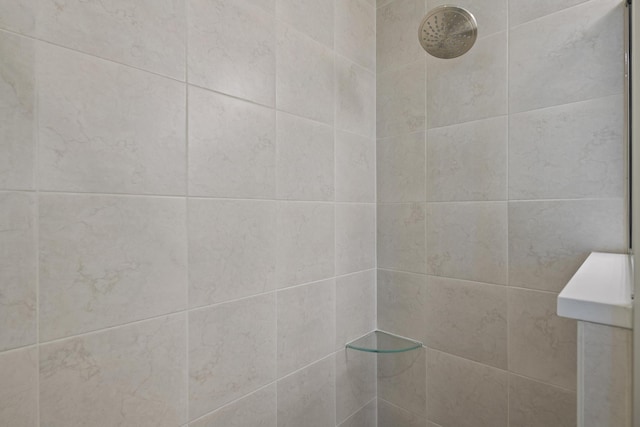 30 Palm Ln, Palm Coast, FL 32164 - bathroom view of tiled shower