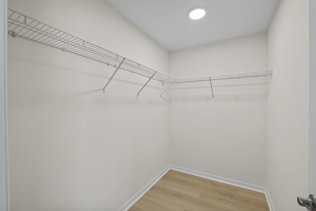 30 Palm Ln, Palm Coast, FL 32164 - spacious closet with light wood-type flooring