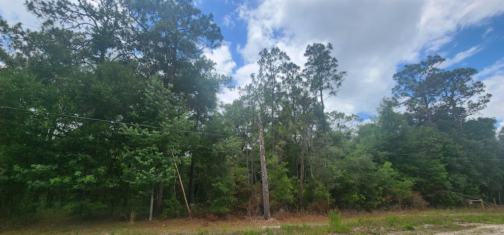 415 Pheasant Rd, Satsuma, FL 32189