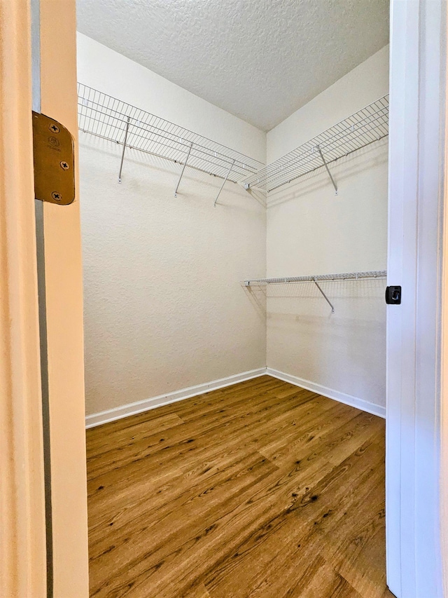 spacious closet with wood finished floors