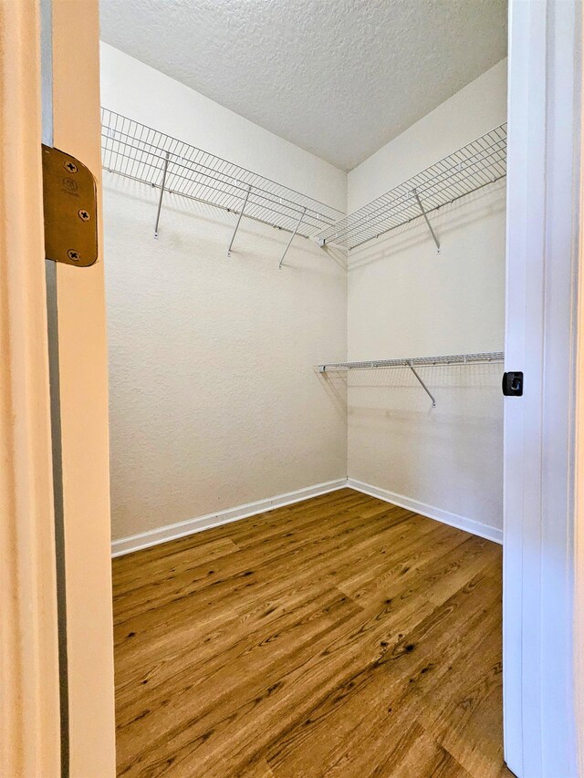 130 Bayberry Cir Unit 1501, Saint Augustine, FL 32086 - walk in closet with wood finished floors