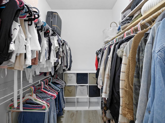 spacious closet featuring wood finished floors