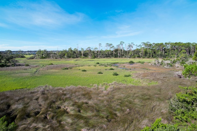 view of local wilderness with a rural view