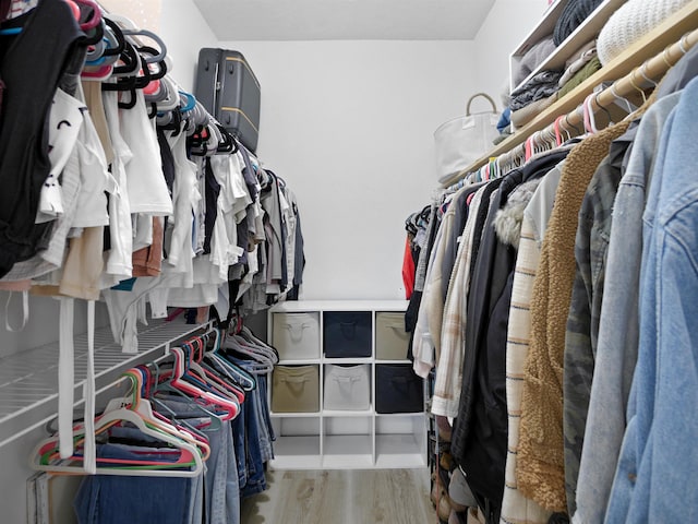 spacious closet with hardwood / wood-style flooring