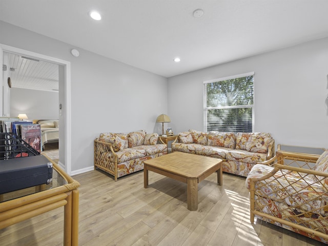 living room featuring light wood-type flooring