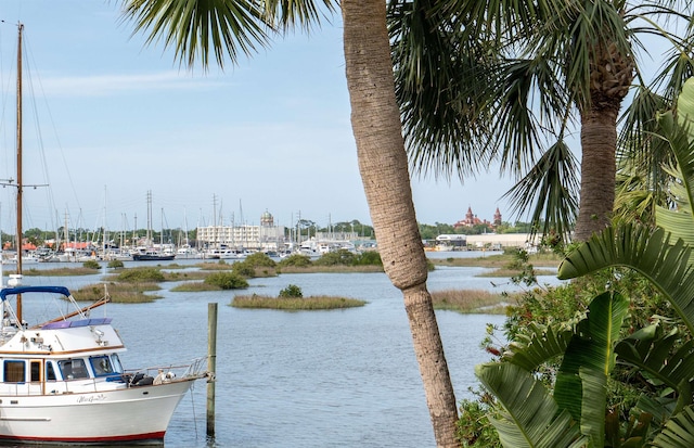 property view of water