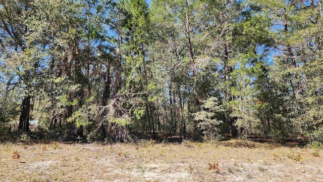 Kitty Ave, Interlachen FL, 32148 land for sale