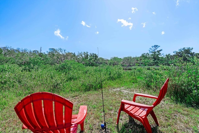 29 Oak St, Saint Augustine, FL 32084 - view of yard