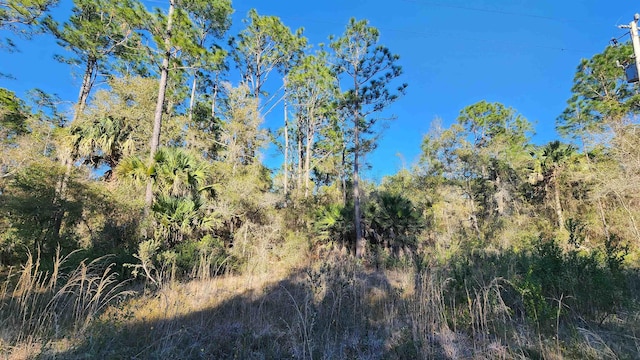 0 Longtree St, Georgetown FL, 32139 land for sale