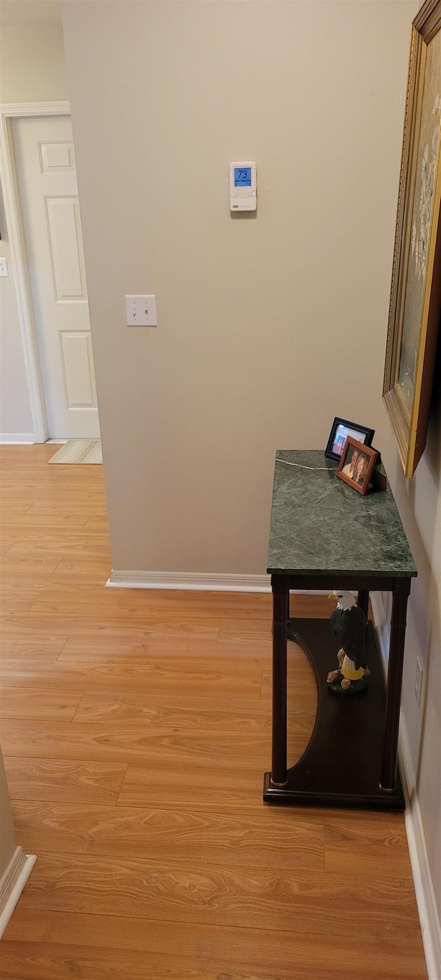 hallway featuring wood-type flooring