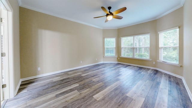 61 Grey Hawk Dr, Saint Augustine, FL 32092 - unfurnished room with wood finished floors, ceiling fan, and crown molding