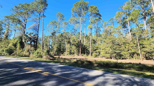 TBD Georgetown Denver Rd, Georgetown FL, 32139 land for sale