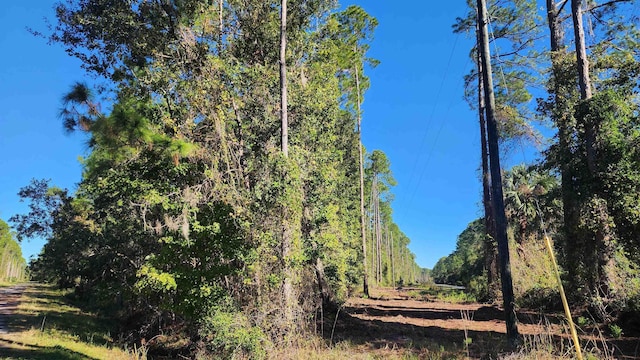 Listing photo 2 for TBD Georgetown Denver Rd, Georgetown FL 32139