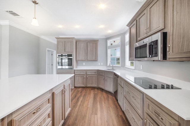 kitchen with appliances with stainless steel finishes, dark hardwood / wood-style flooring, ornamental molding, sink, and pendant lighting