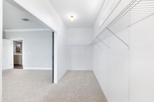 spacious closet featuring carpet floors