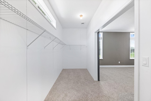 walk in closet with light carpet