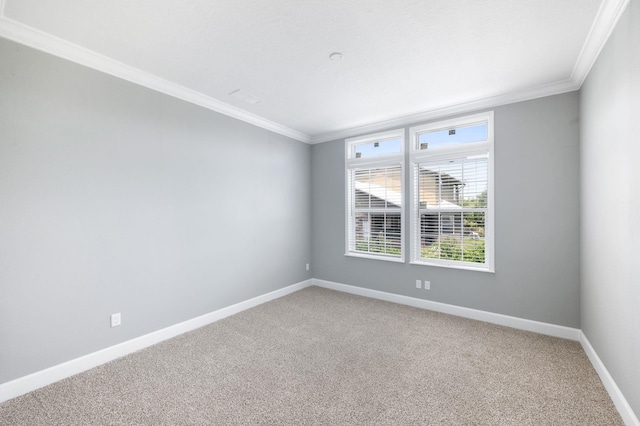 empty room featuring carpet floors and ornamental molding