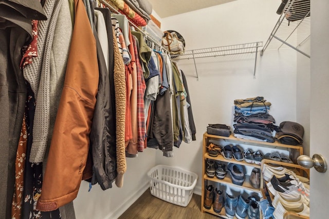 walk in closet with hardwood / wood-style flooring