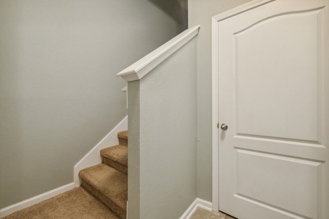 staircase with carpet