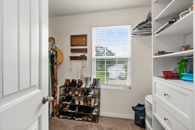 spacious closet with carpet floors