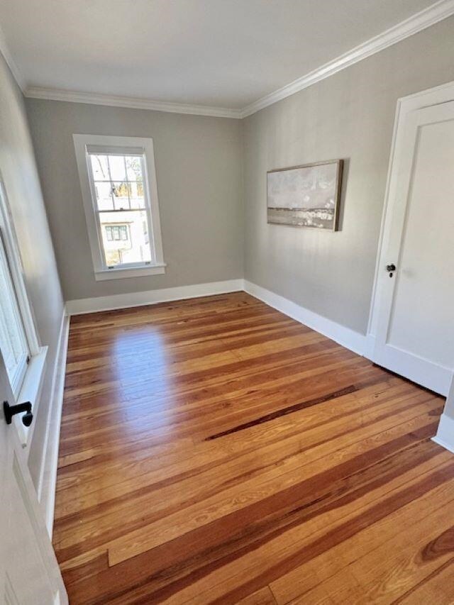238 Rainey Ave, Saint Augustine, FL 32084 - photo 19