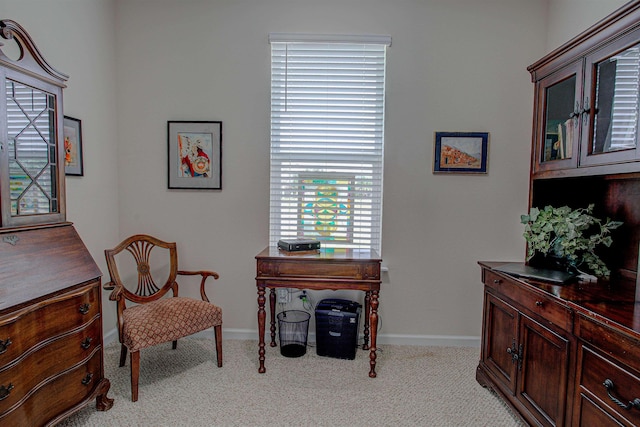 living area featuring light carpet